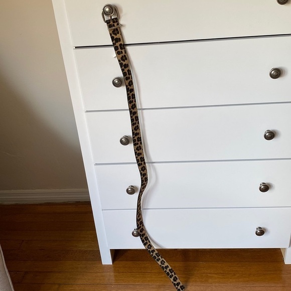Cheetah print belt, size L 41.5” long - Picture 1 of 2